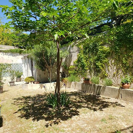 Appartement Au Coeur De Cassis Avec Jardin Eksteriør bilde