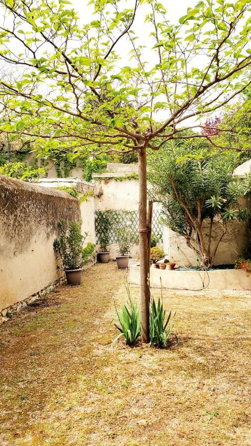 Appartement Au Coeur De Cassis Avec Jardin Eksteriør bilde