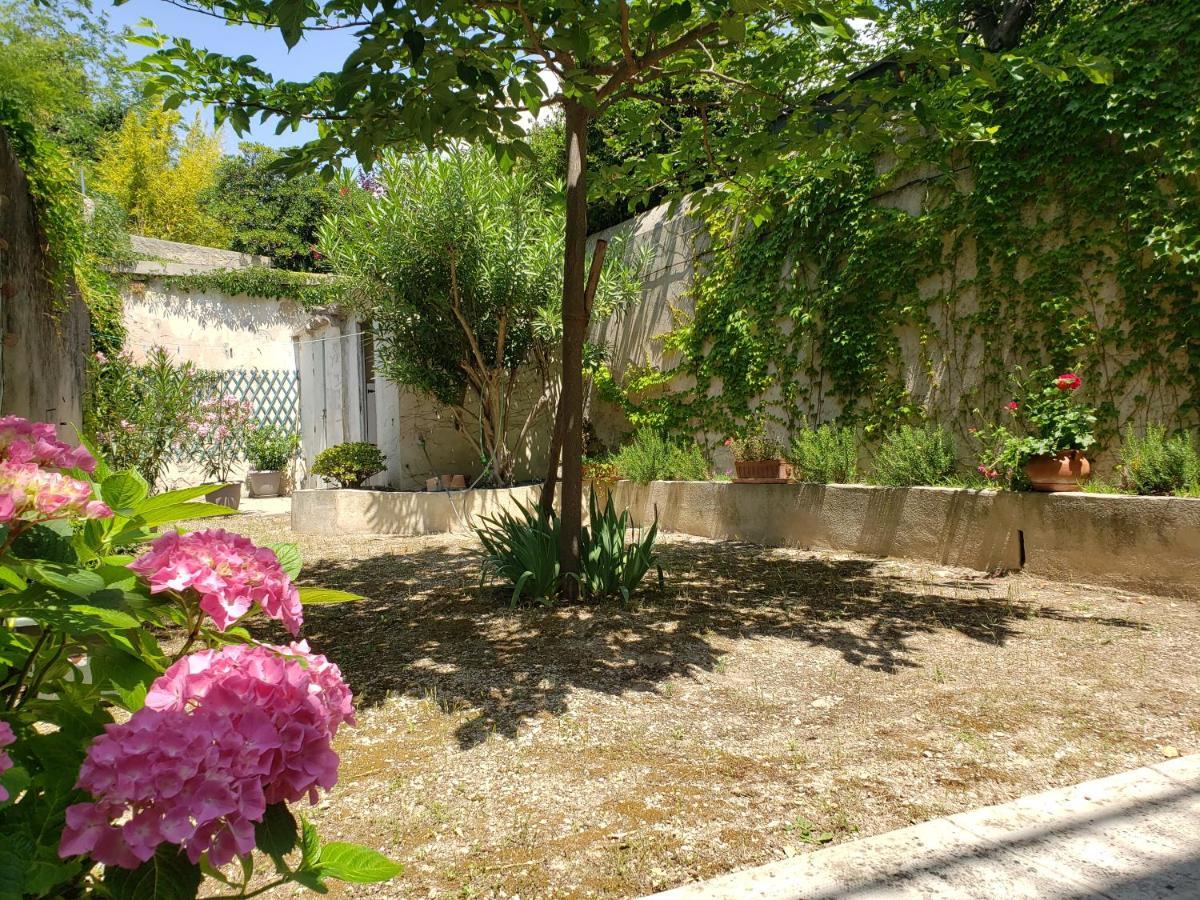 Appartement Au Coeur De Cassis Avec Jardin Eksteriør bilde